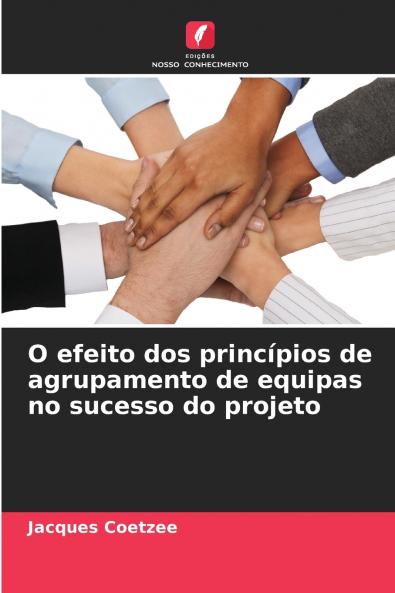 O efeito dos princípios de agrupamento de equipas no sucesso do projeto
