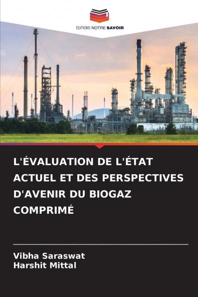L'ÉVALUATION DE L'ÉTAT ACTUEL ET DES PERSPECTIVES D'AVENIR DU BIOGAZ COMPRIMÉ