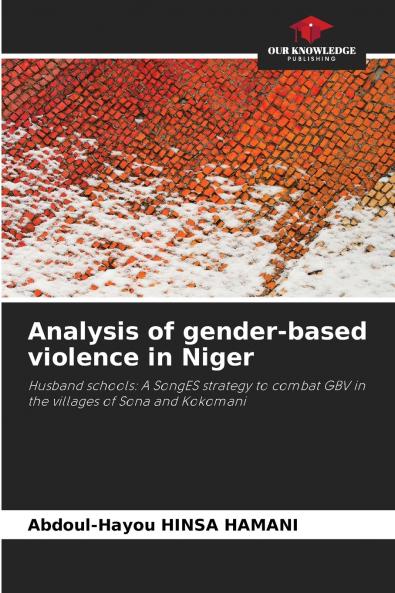 Analysis of gender-based violence in Niger