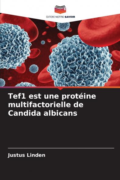 Tef1 est une protéine multifactorielle de Candida albicans