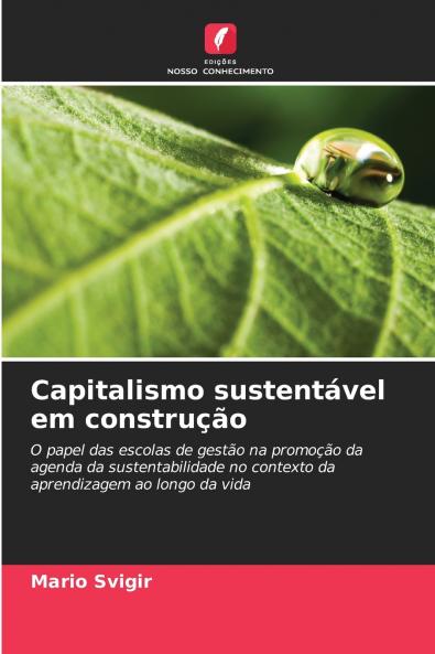 Capitalismo sustentável em construção