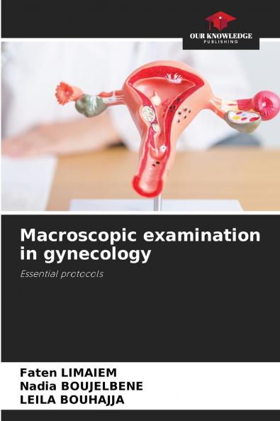 Macroscopic examination in gynecology