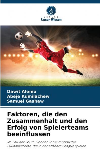 Faktoren die den Zusammenhalt und den Erfolg von Spielerteams beeinflussen