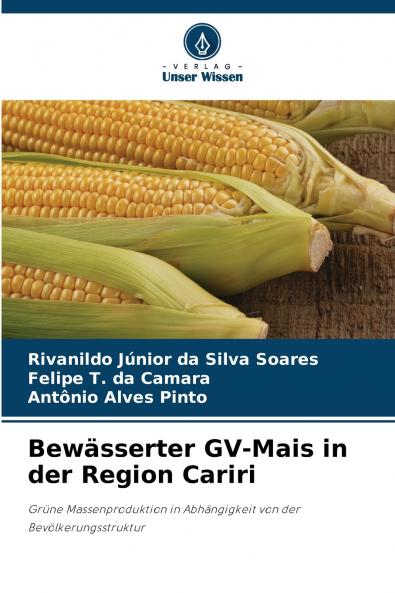 Bewässerter GV-Mais in der Region Cariri