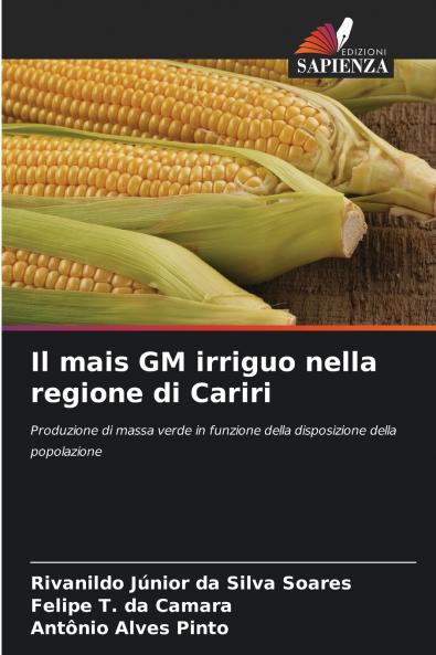 Il mais GM irriguo nella regione di Cariri