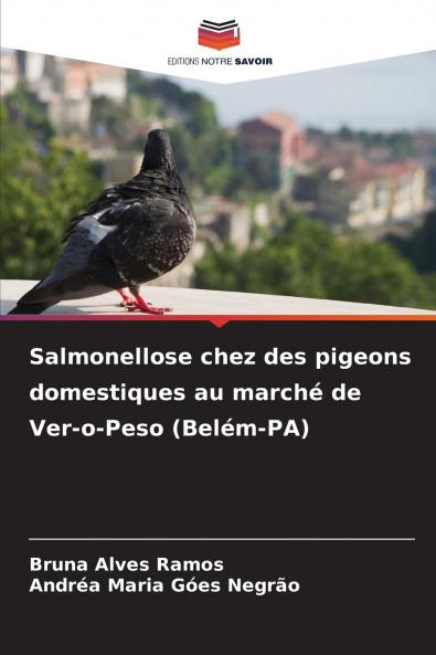 Salmonellose chez des pigeons domestiques au marché de Ver-o-Peso (Belém-PA)
