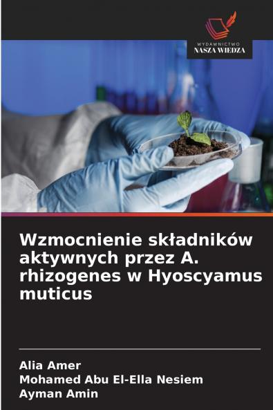 Wzmocnienie składników aktywnych przez A. rhizogenes w Hyoscyamus muticus