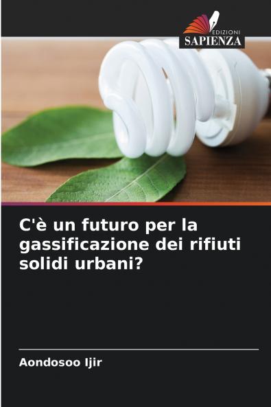 C'è un futuro per la gassificazione dei rifiuti solidi urbani?