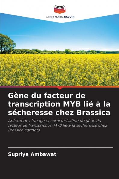 Gène du facteur de transcription MYB lié à la sécheresse chez Brassica