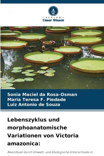 Lebenszyklus und morphoanatomische Variationen von Victoria amazonica