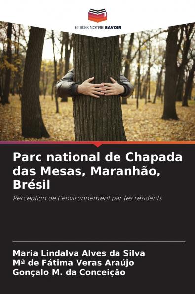 Parc national de Chapada das Mesas Maranhão Brésil