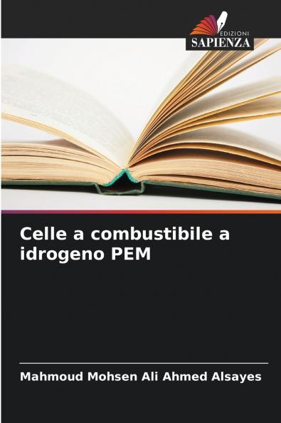Celle a combustibile a idrogeno PEM