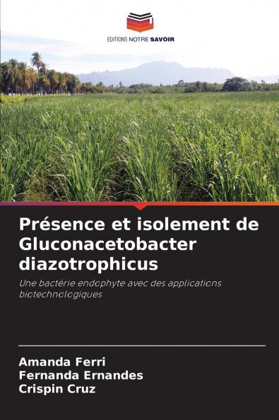 Présence et isolement de Gluconacetobacter diazotrophicus