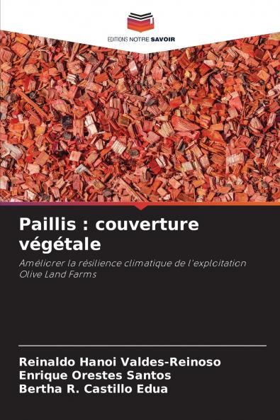 Paillis