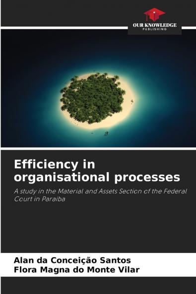 Efficiency in organisational processes