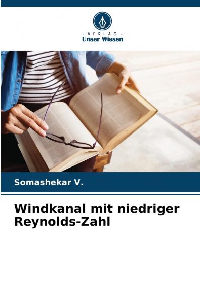 Windkanal mit niedriger Reynolds-Zahl