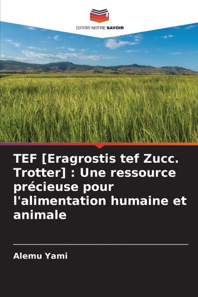 TEF [Eragrostis tef Zucc. Trotter]