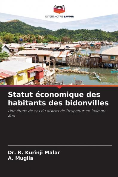 Statut économique des habitants des bidonvilles