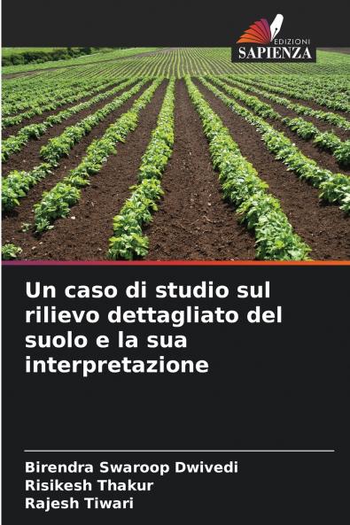 Un caso di studio sul rilievo dettagliato del suolo e la sua interpretazione