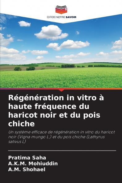 Régénération in vitro à haute fréquence du haricot noir et du pois chiche