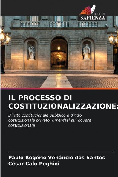 IL PROCESSO DI COSTITUZIONALIZZAZIONE