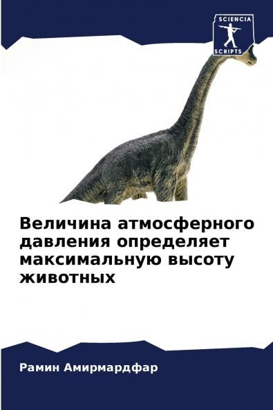 ???????? ???????????? ???????? ?????????? ???????????? ?????? ????????