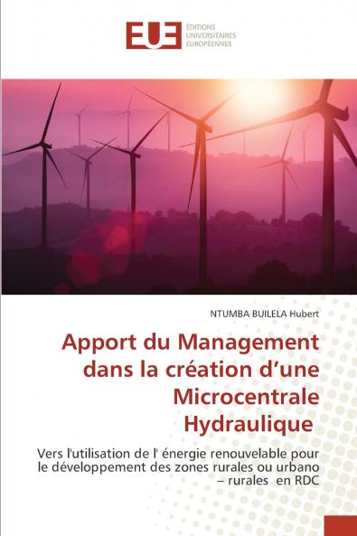 Apport du Management dans la création d'une Microcentrale Hydraulique