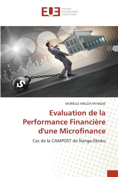 Evaluation de la Performance Financière d'une Microfinance