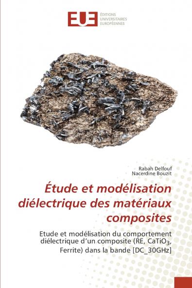 Étude et modélisation diélectrique des matériaux composites