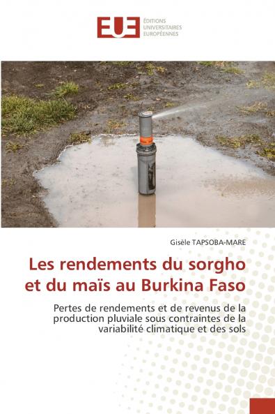 Les rendements du sorgho et du maïs au Burkina Faso
