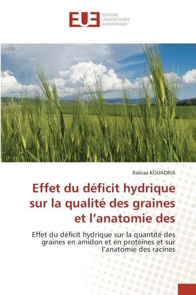 Effet du déficit hydrique sur la qualité des graines et l'anatomie des