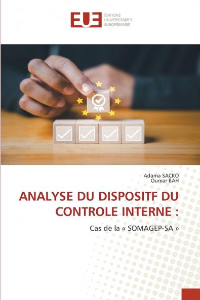 ANALYSE DU DISPOSITF DU CONTROLE INTERNE