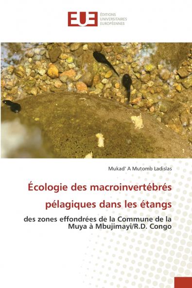 Écologie des macroinvertébrés pélagiques dans les étangs