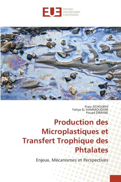 Production des Microplastiques et Transfert Trophique des Phtalates
