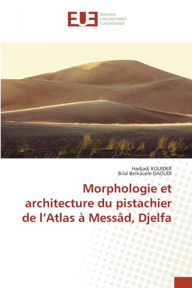 Morphologie et architecture du pistachier de l'Atlas à Messâd Djelfa