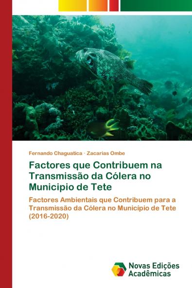 Factores que Contribuem na Transmissão da Cólera no Municipio de Tete