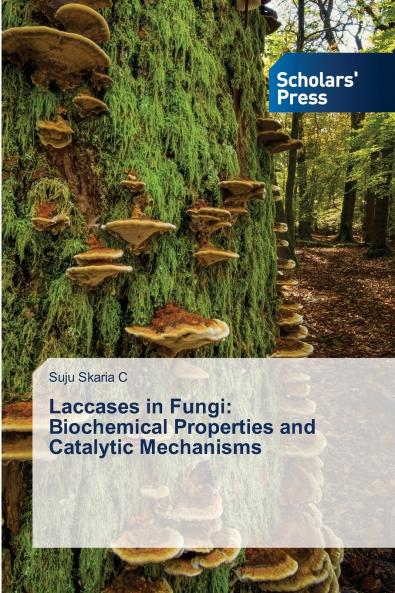 Laccases in Fungi
