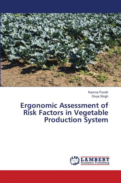 Ergonomic Assessment of Risk Factors in Vegetable Production System