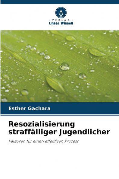 Resozialisierung straffälliger Jugendlicher
