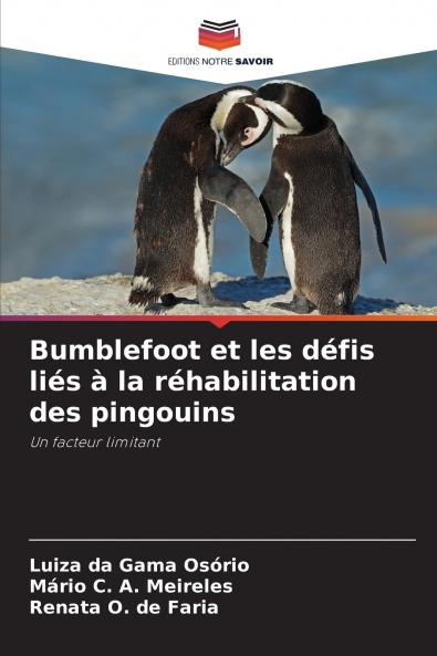 Bumblefoot et les défis liés à la réhabilitation des pingouins