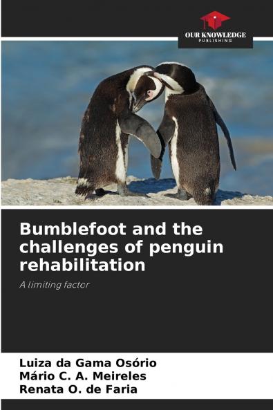 Bumblefoot and the challenges of penguin rehabilitation