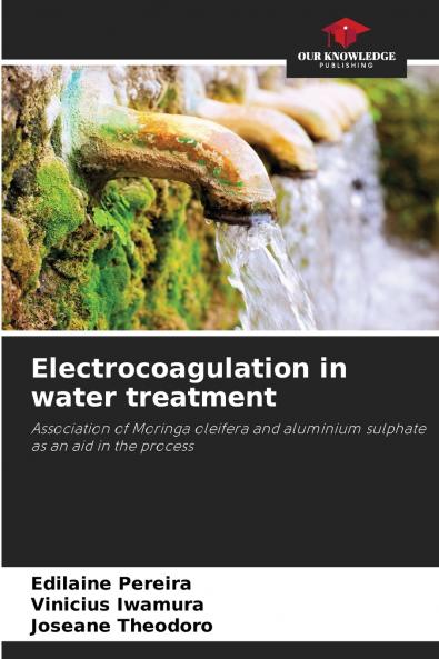 Electrocoagulation in water treatment