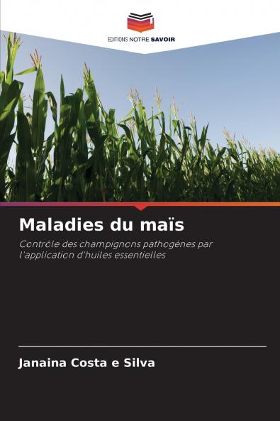 Maladies du maïs