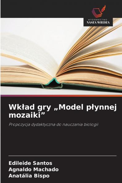 Wkład gry „Model płynnej mozaiki
