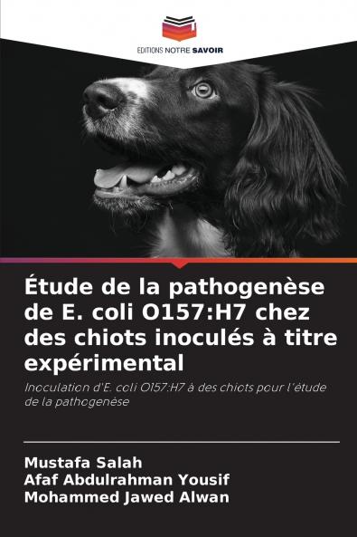 Étude de la pathogenèse de E. coli O157