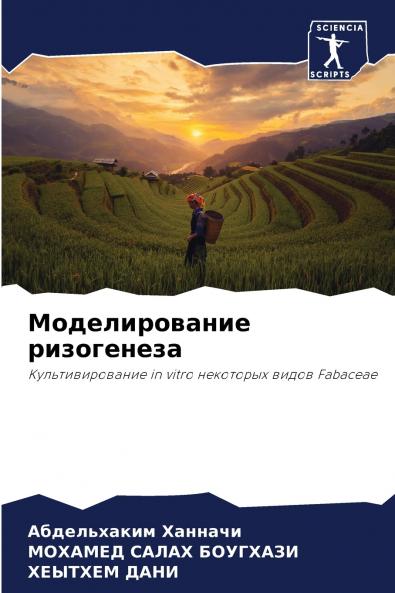 ????????????? ??????????