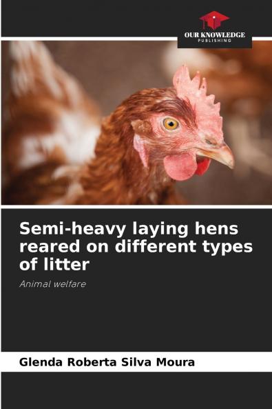 Semi-heavy laying hens reared on different types of litter