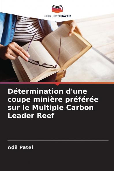 Détermination d'une coupe minière préférée sur le Multiple Carbon Leader Reef