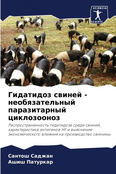 ????????? ?????? - ?????????????? ???????????? ???????????