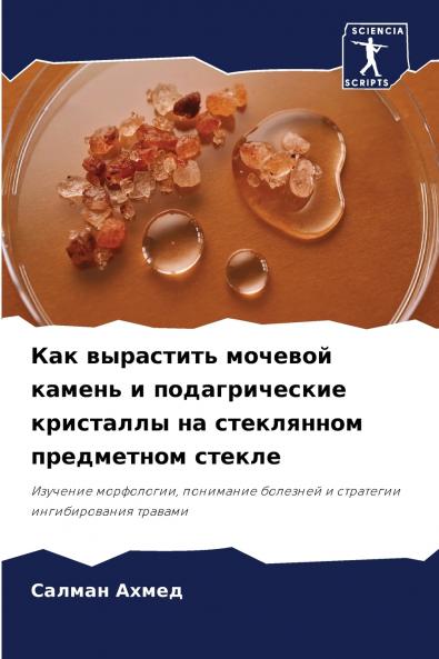 ??? ????????? ??????? ?????? ? ????????????? ????????? ?? ?????????? ?????????? ??????